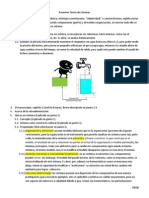 Resumen Teoría de Sistemas PDF