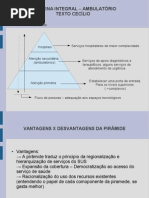 Resumo M.I texto do Cecílio