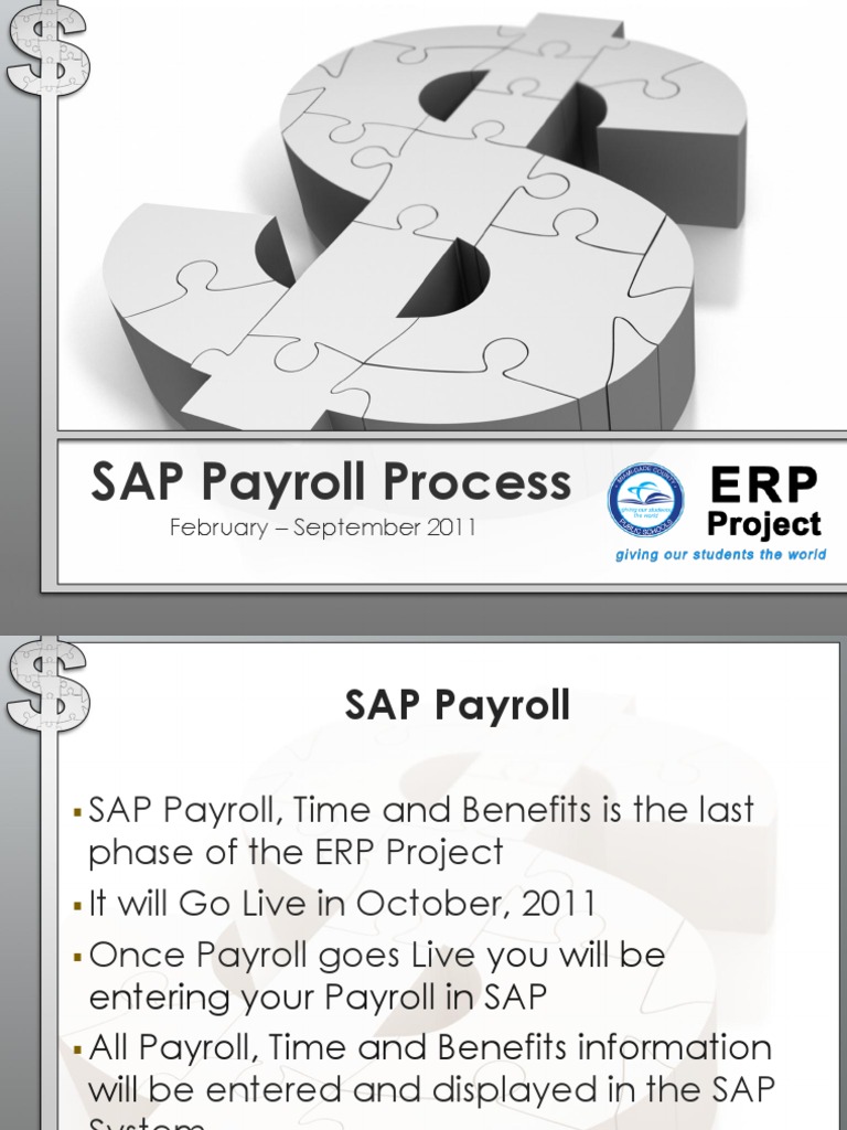SAP Payroll PDF Payroll Business