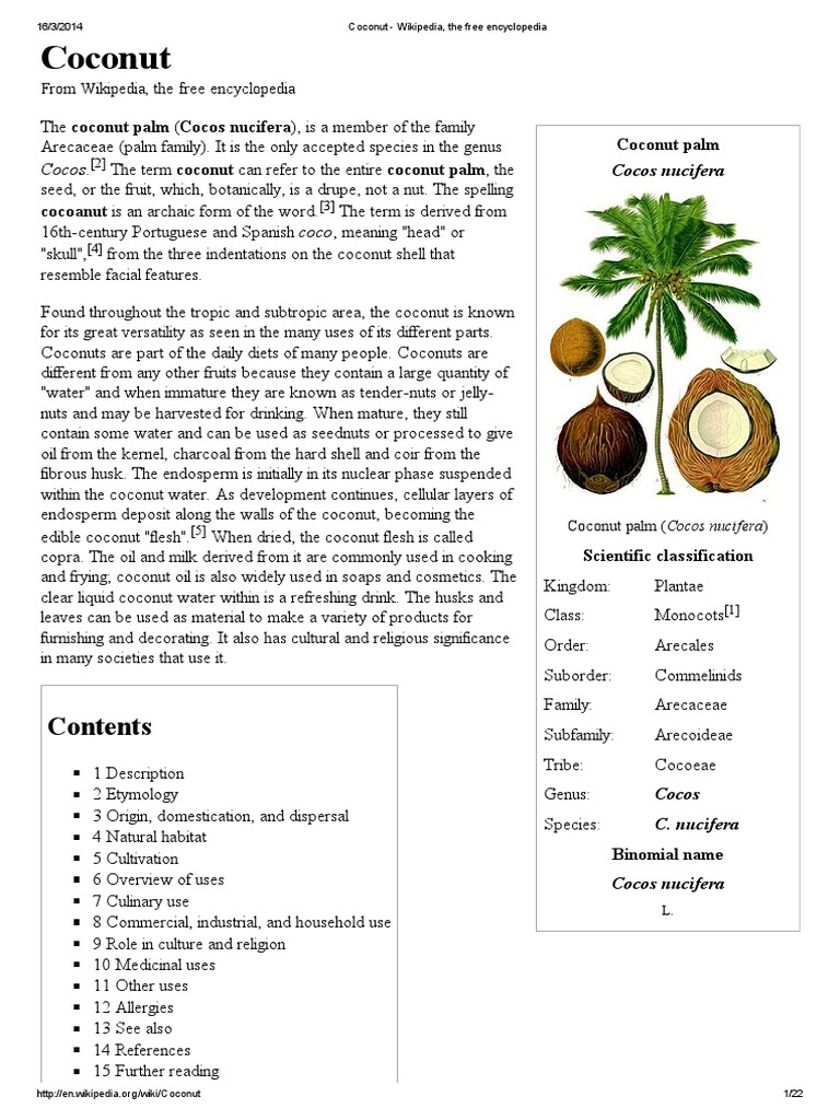 Coconut Wikipedia, The Free Encyclopedia Coconut Nature