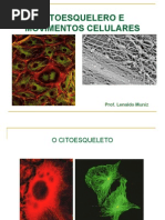 Aula_citoesqueleto.ppt