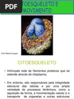 CITOESQUELETO.ppt