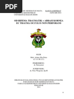 Download Lapsus  Referat Hifema by azharyekaputra SN212748739 doc pdf