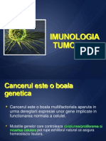 Immuno Tumor 30 Modif Clau