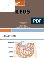 Referat Ileus