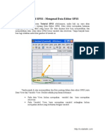 Data Editor SPSS