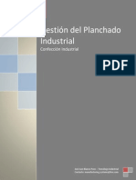 5. Gestion Del Planchado Industrial