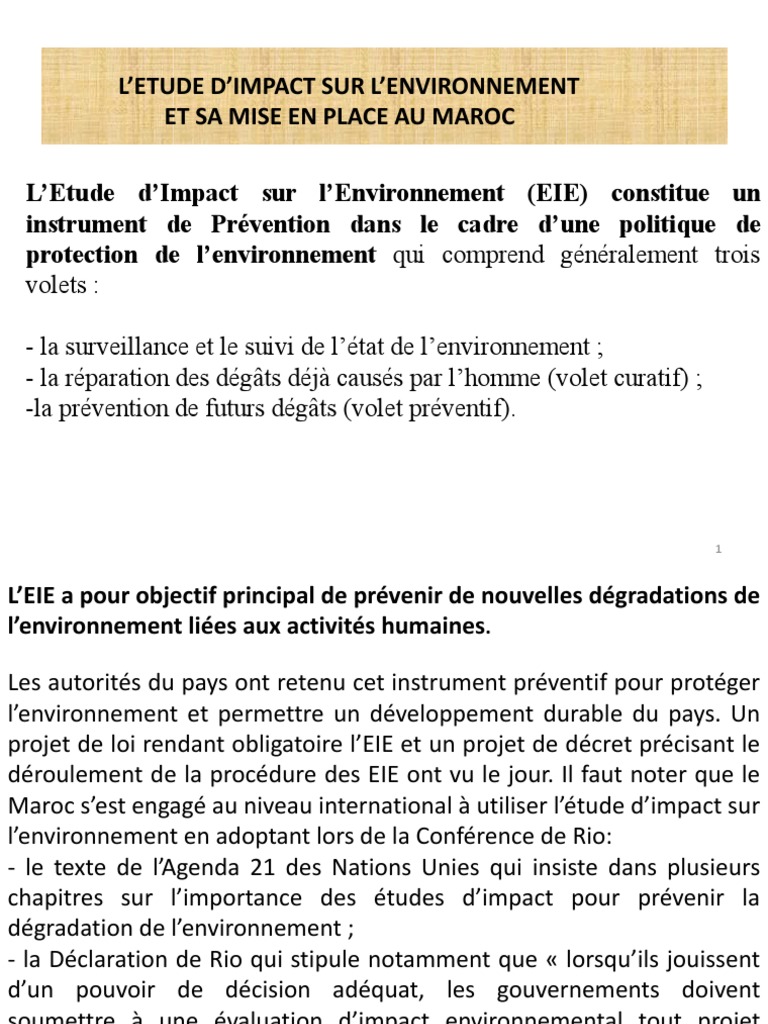 Etude D'impact Sur L'environnement | PDF | Étude d'impact ...