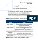 Associate Program Material: Prokaryotic and Eukaryotic Cells Worksheet