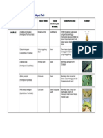 Daftar Hama Penting