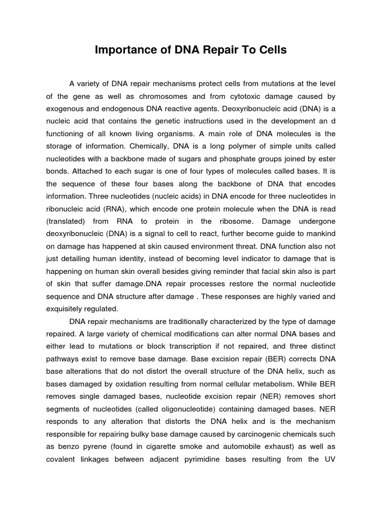 Importance of DNA Repair To Cells | PDF | Dna Repair | Nucleic Acids