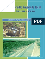 Informe de Prueba de Infiltracion - Irregacion PDF