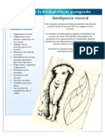 Intelligencia visceral.pdf