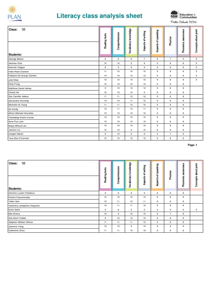 Literacy Class Performance Analysis | PDF