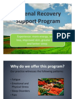 Adrenal Recovery Support Program