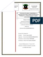 rasolomananaAdimananaR PC M2 12 PDF