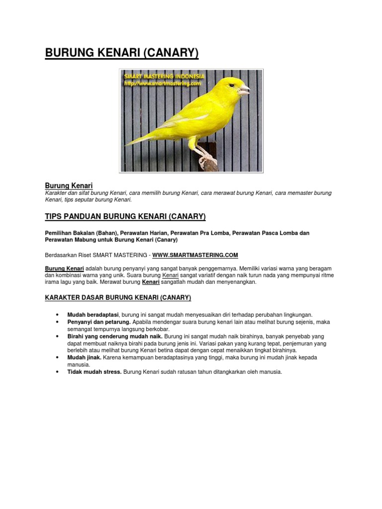 Kevinfarian7 (@ciko_cannary_farm) · Bandung, image size:768x1024