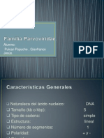 Familia Parvoviridae