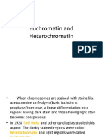 Euchromatin and Heterochromatin
