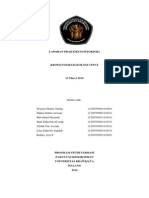 Laporan Praktikum Fitokimia Kolom Cepat