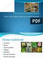 Plantas Medicinais