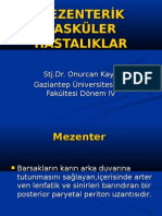 Mezenteri̇k Vasküler Hastaliklar