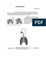 Fisiologia Da Respiração PDF