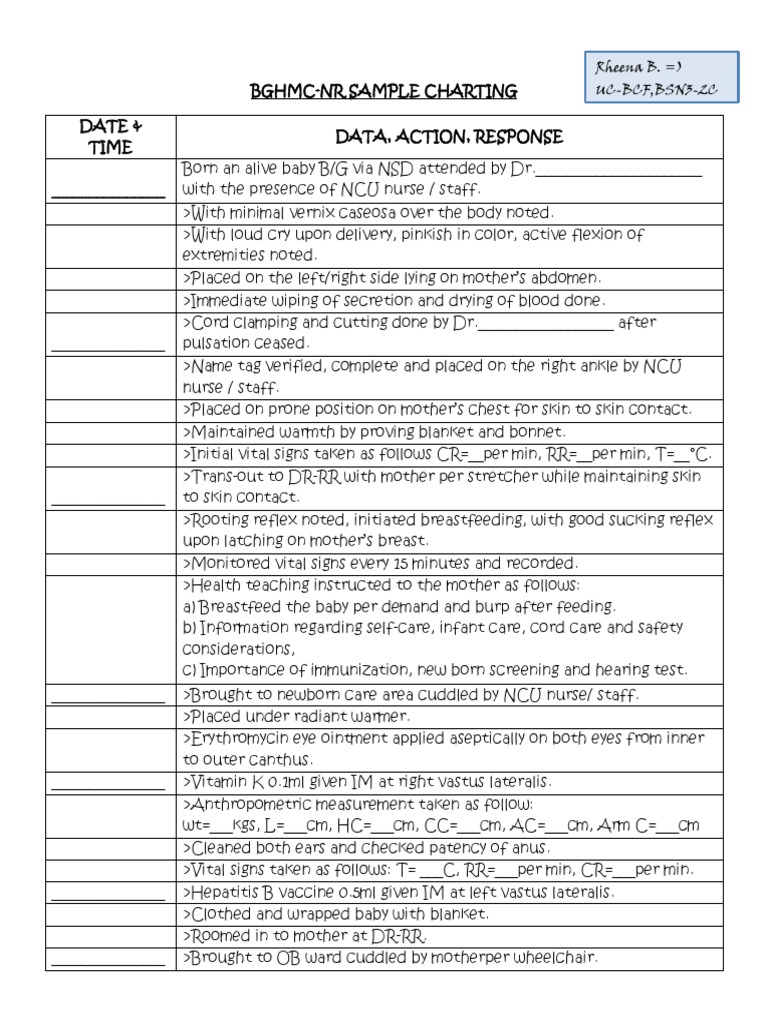 Newborn Nursing Charting Sample | PDF | Infants | Breastfeeding