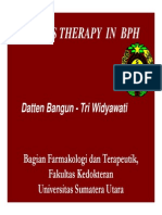 Gus156 Slide Drugs Therapy in Bph