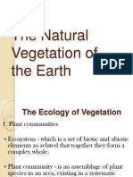 POWERPOINTThe Natural Vegetation of The Earth