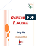 Organograma e Fluxograma