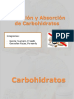 Digestión y Absorción de Carbohidratos (E)