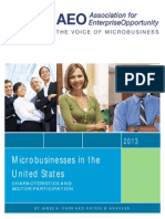 Microbusinesses in the US