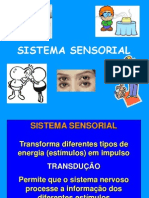 Aula 3 - Sistema Sensorial Fisio Humana