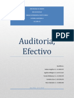 Auditori II actividad.pdf