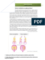 Bio12 - Ficha Trabalho 2 - Gemeos