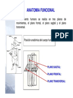 Anatomia Biomecanica Antropometria 2