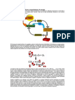 Transformaciones Energéticas y Requerimientos de Energía