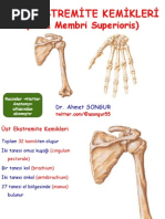 Anatomi Ders Notu - Üst Ekstremite Kemikleri / Prof. Dr. Ahmet Songur