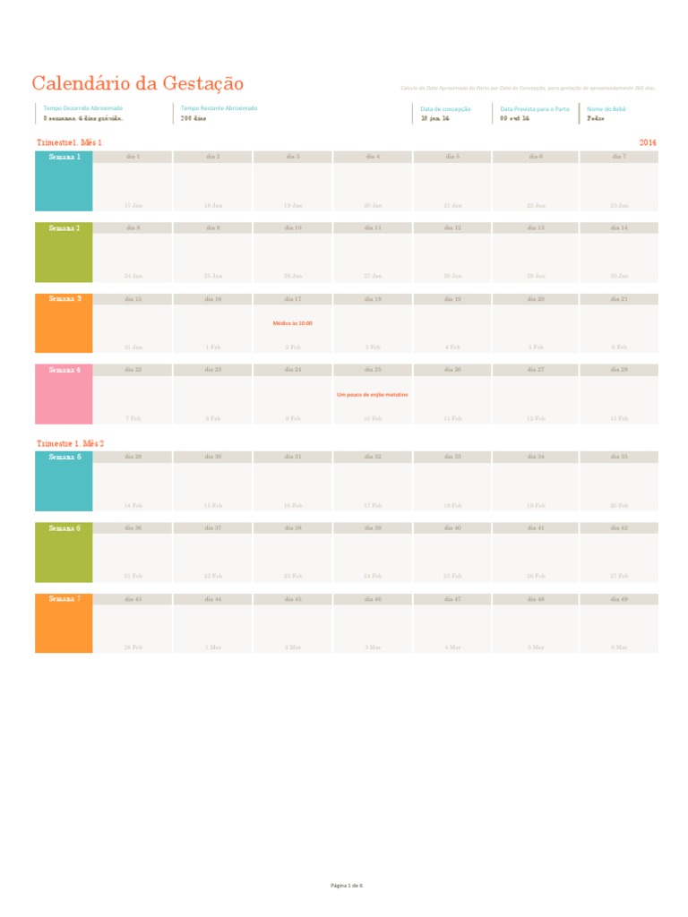 Calendário Semanal da Gestação | PDF