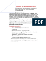 Principios Generales Del Derecho Del Trabajo