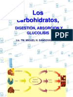 2.1. CARBOHIDRATOS Digestion Absorcion Glucolisis