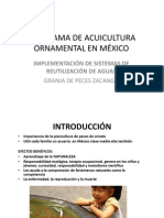 5 Acuacultura Ornamental - Ing Mario Rocha - RDF