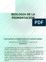 Evolución pigmentación humana