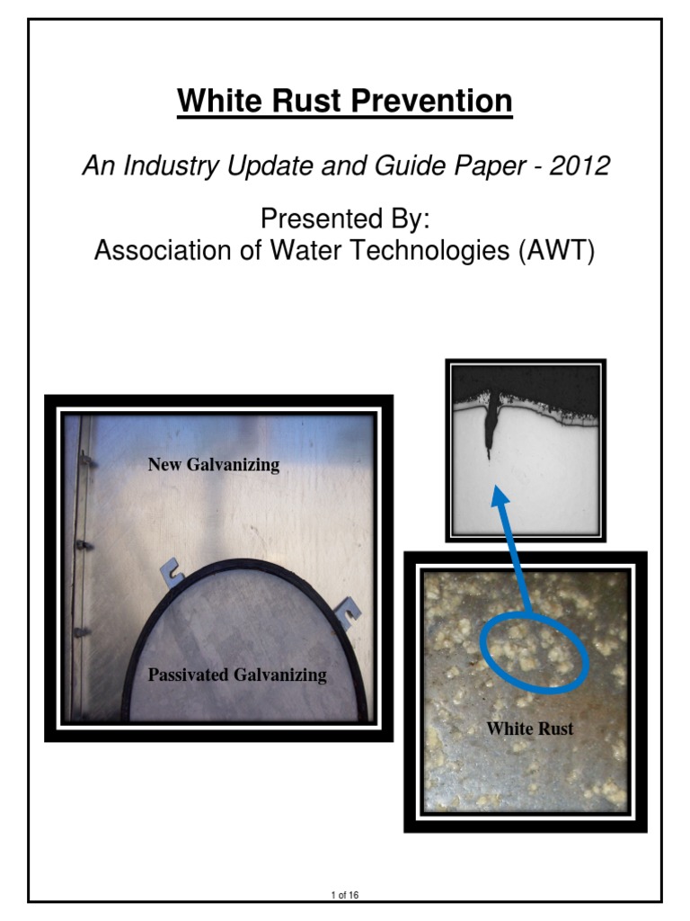 White Rust Prevention | PDF | Galvanization | Rust