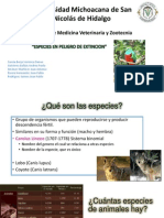 Especies en Peligro de Extincion