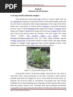 Download eceng gondok by Irene Olivia Salim SN213067343 doc pdf