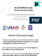 Lecture 3_Part 4 - Mantas Cleaning Ecology