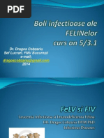 Catalog de Aparatura Si Instrumentar Veterinar Eikemeyer-Germania 