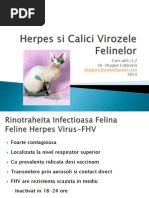 Vaccinarea Animalelor de Companie Principii Si Scheme de Vaccinare 